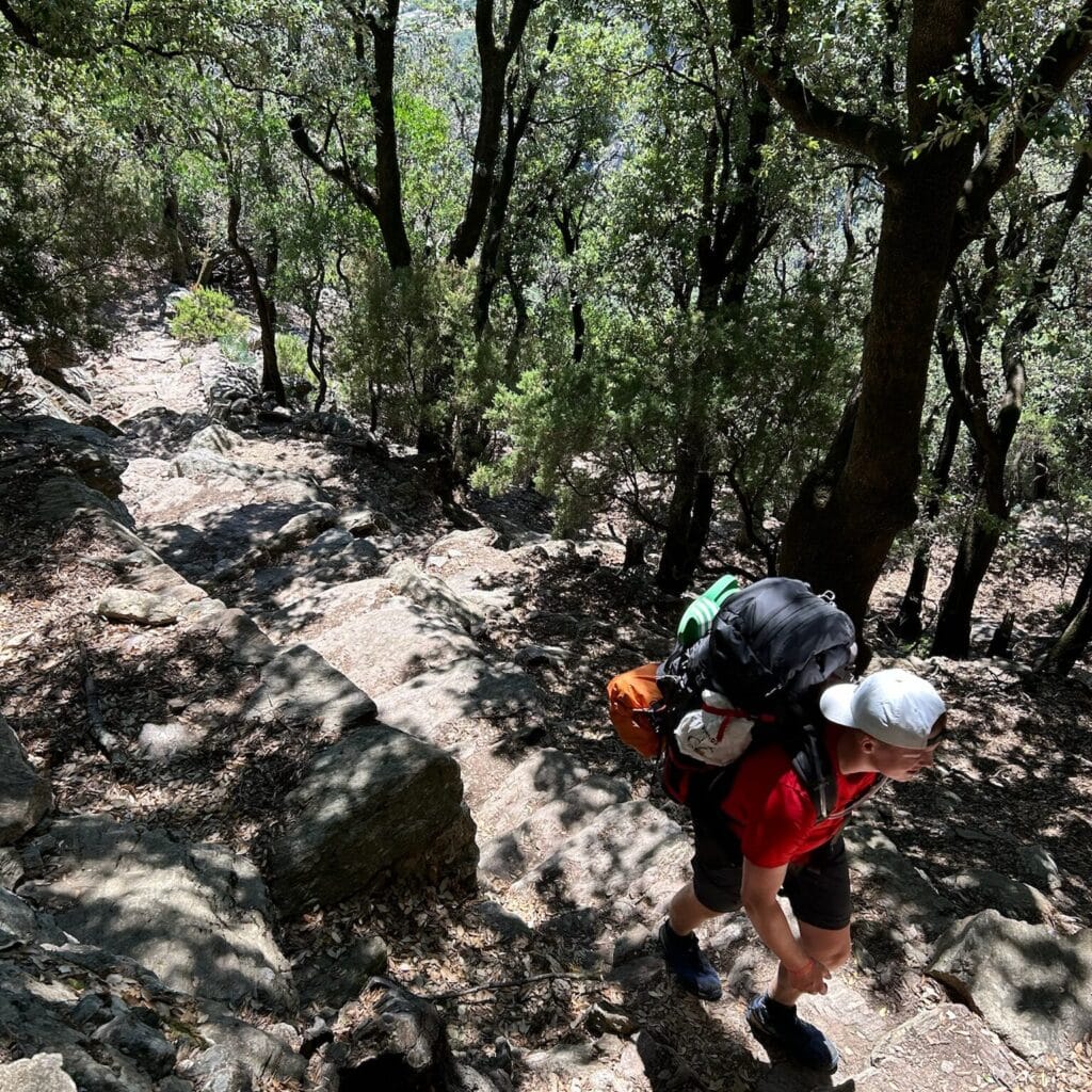 IMG_5349-square-f11c2f2272a064a916acca207bad26dd-l5cksxh2wv7q (1)